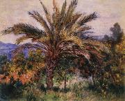 Claude Monet A Palm Tree at Bordighera oil painting artist